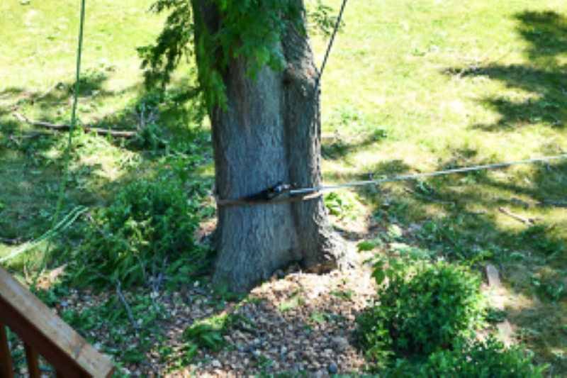 port-a-wrap tree service rigging device