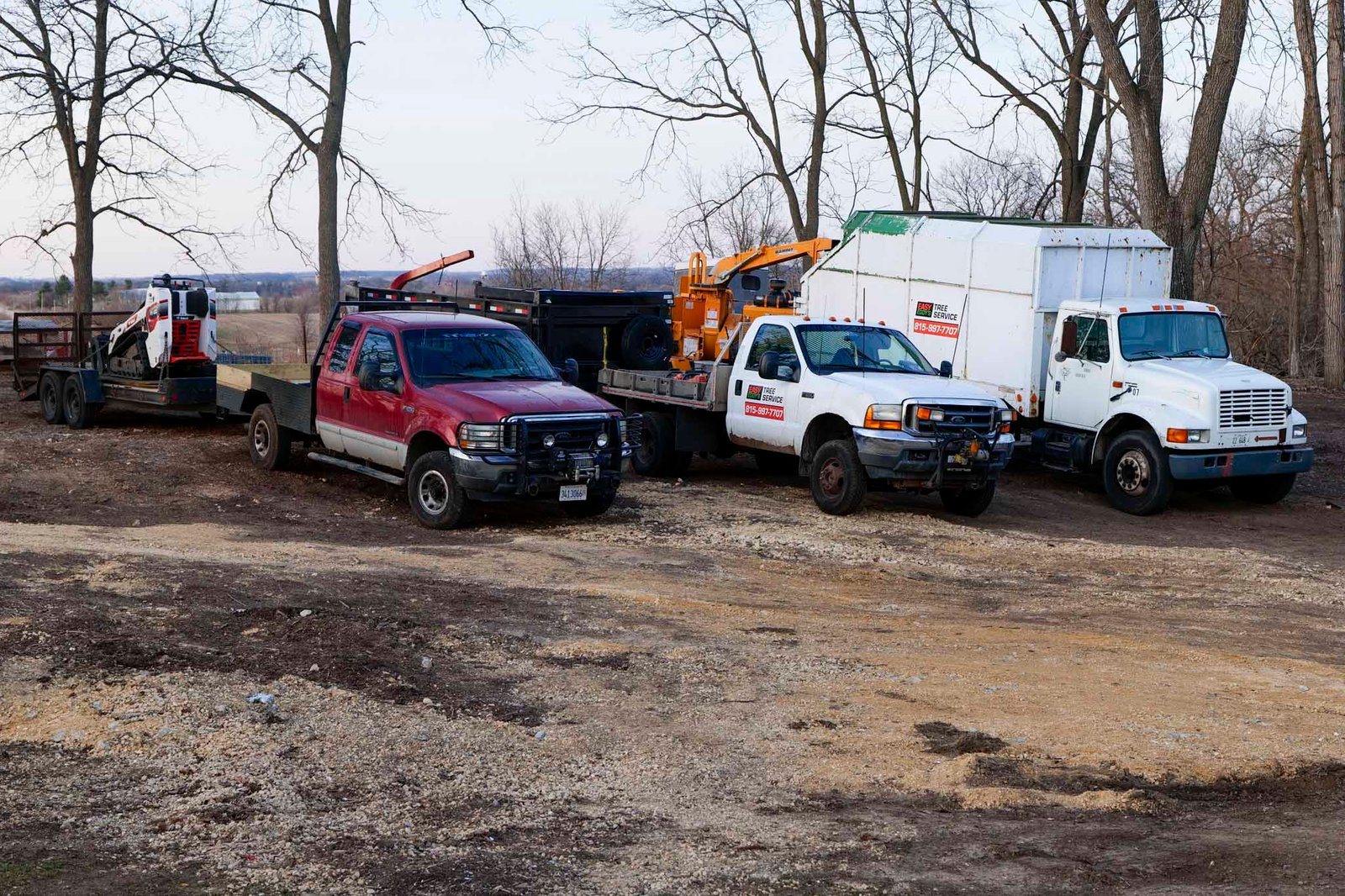 full service Tree company Rockford