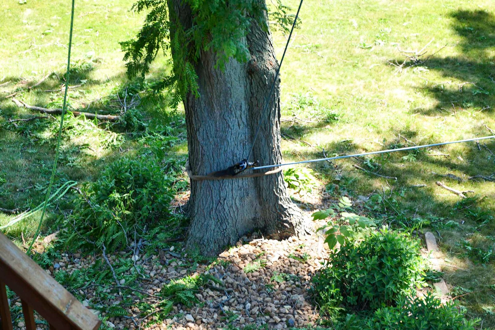 port-a-wrap tree service rigging device